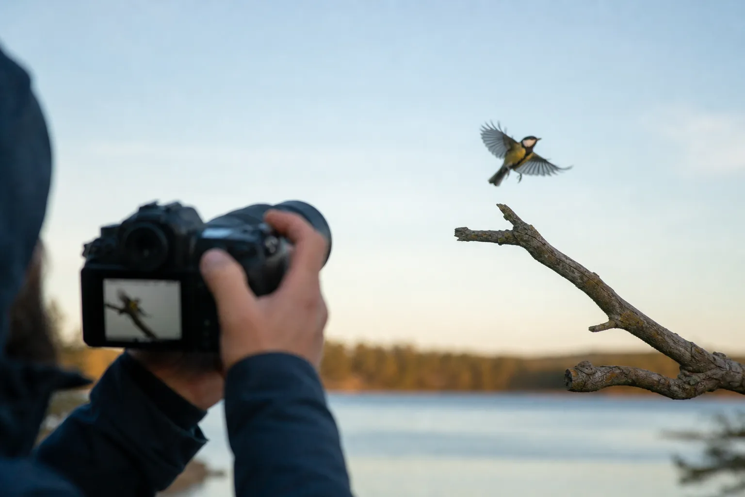Kamera i serietagningsläge fångar en fågel i flykt mot himlen